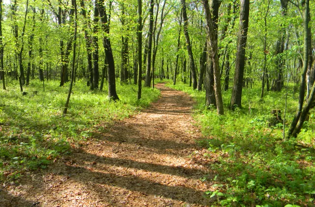 Trails